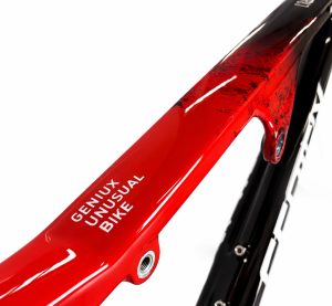 Pintar bici Geniux Javi Ecija 1